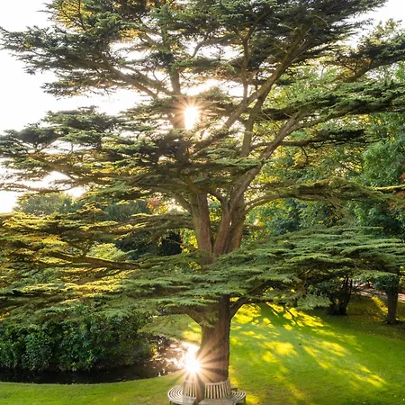 Farlam Hall & Restaurant برامبتون